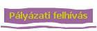 Pályázati felhívás